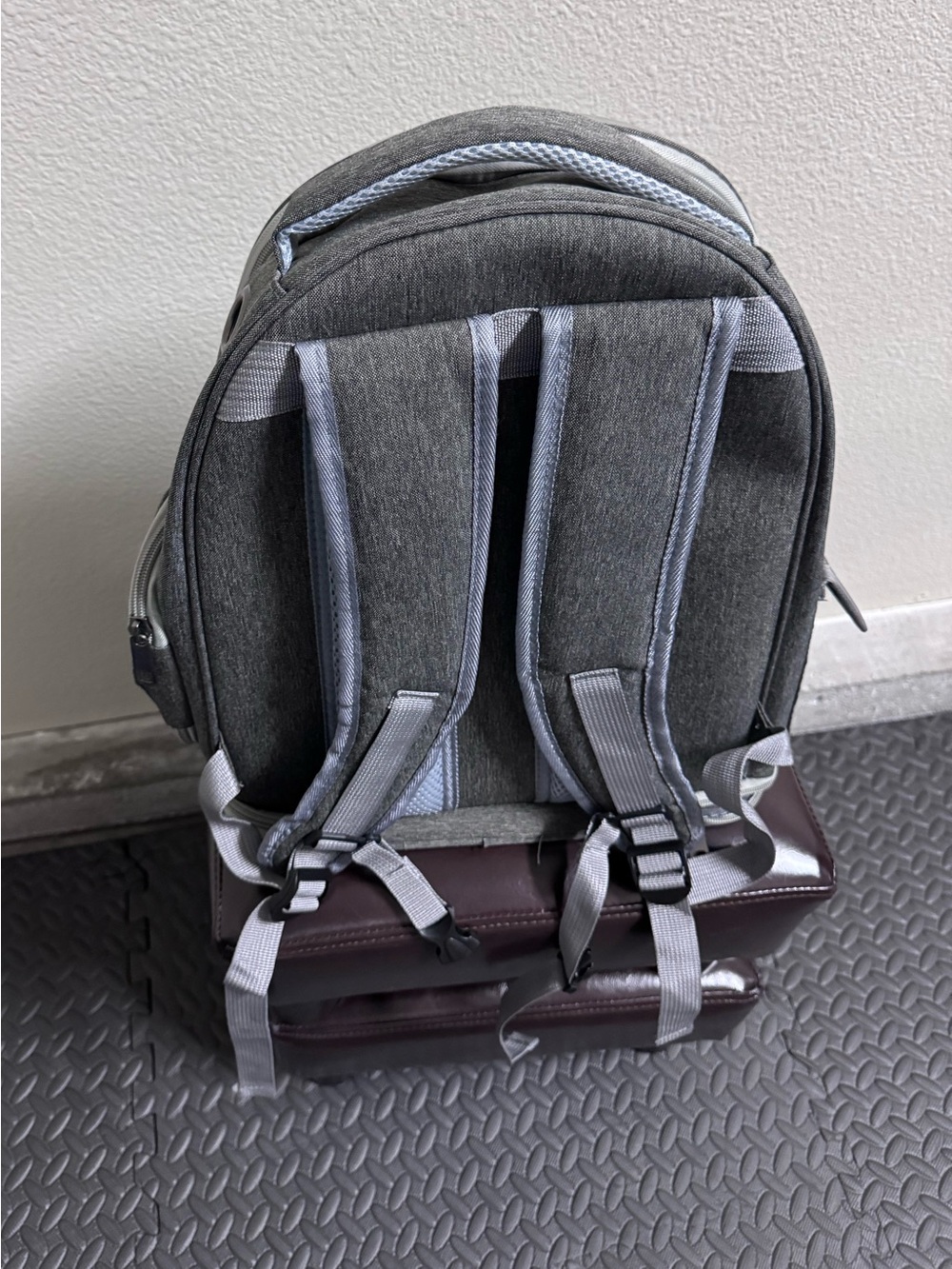 Moorpet Bubble Adjustable Pet Backpack - Like New - Never Used - Picture 6 of 12